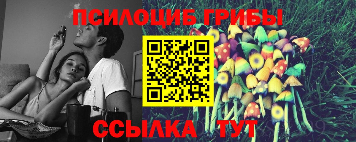 Галлюциногенные грибы мицелий Крымск