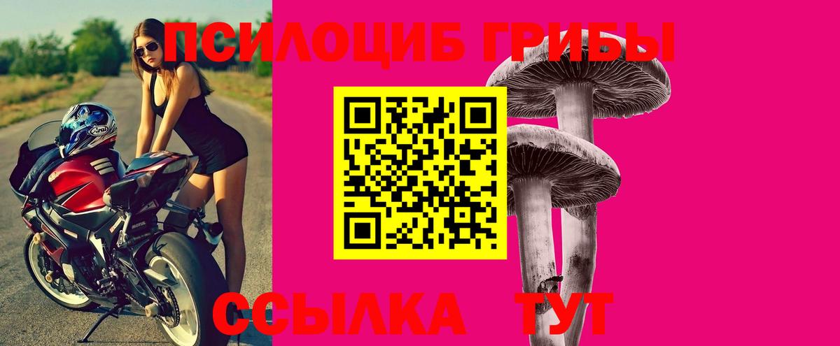Крымск  Галлюциногенные грибы Magic Shrooms  Галлюциногенные грибы Magic Shrooms  Вход с VPN 